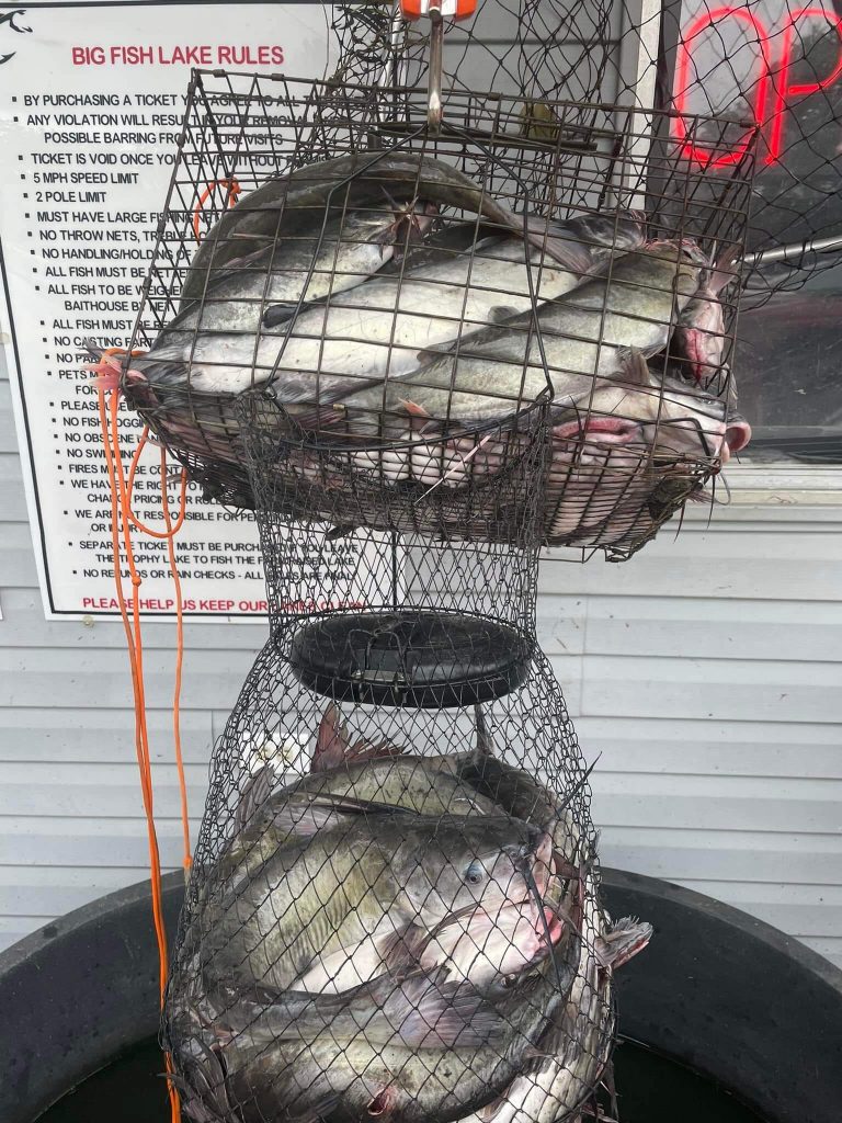 Last Cast Pay Lake