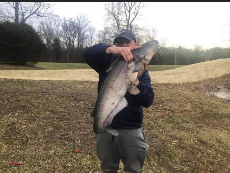 Last Cast Pay Lake